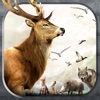 Deer Hunting Challenge: Wild Animal Hunter