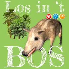 Activities of Los in 't bos