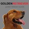 Golden Retriever Sounds for Dogs
