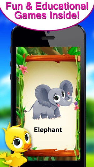 Animals Flash Card For Kids