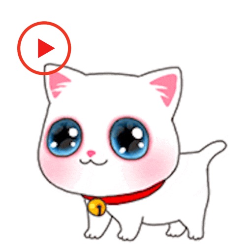Cat Lovely Animated