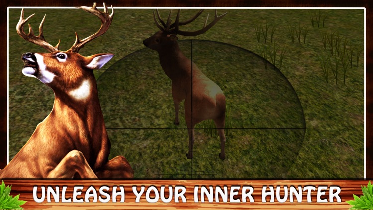 3D Wild Animal Ultimate Hunting screenshot-3