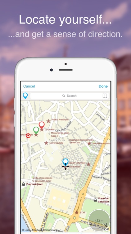 Seville on Foot : Offline Map