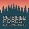 Petrified Forest National Park Visitor Guide