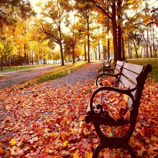 Autumn Landscape Wallpaper Hd