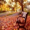 Autumn Wallpaper : Best Theme & LockScreens