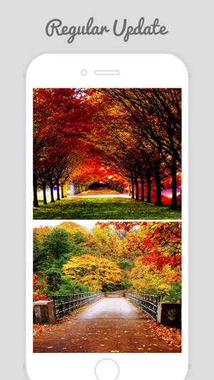 Autumn Wallpapers - Beautiful Home and Lock Wallz(圖3)-速報App