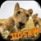 Wild Animal Jigsaw Puzzles Games for Kids
