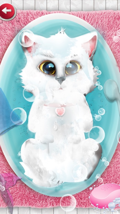 Kitten Salon : kitty games & kids games for girls screenshot-3