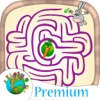 Mazes for kids and fun labyrinth brain games - Pro