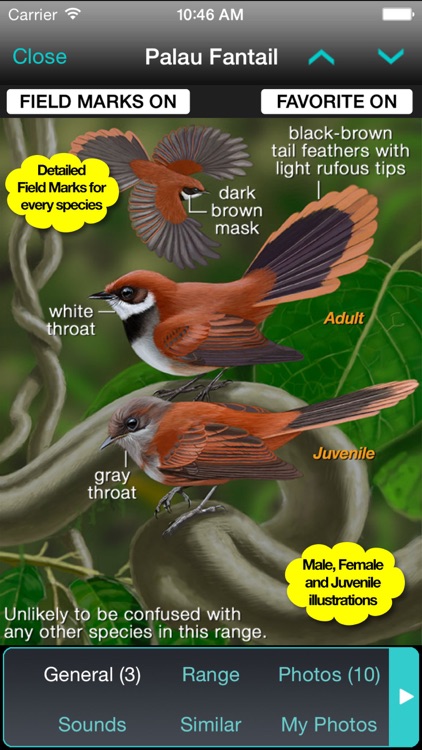 iBird Hawaii & Palau Guide to Birds