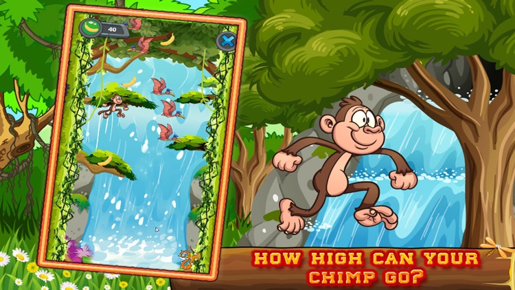 Monkey Splash - Help climb and collect the bananas