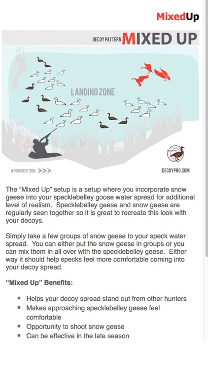 Specklebelly Goose Hunting Decoy Spreads -DecoyPro