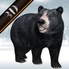 Bear Simulation Game