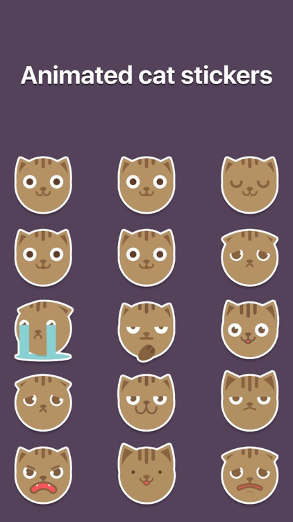 MoJi Cat - Animated Sticker Pack (Cool Kitty)