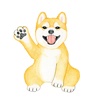 Shiba The Dog Animated Stickers