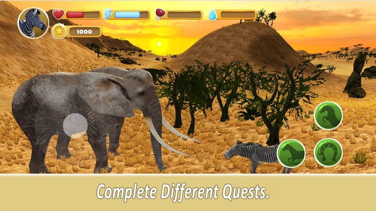 Zebra Family Simulator screenshot-3