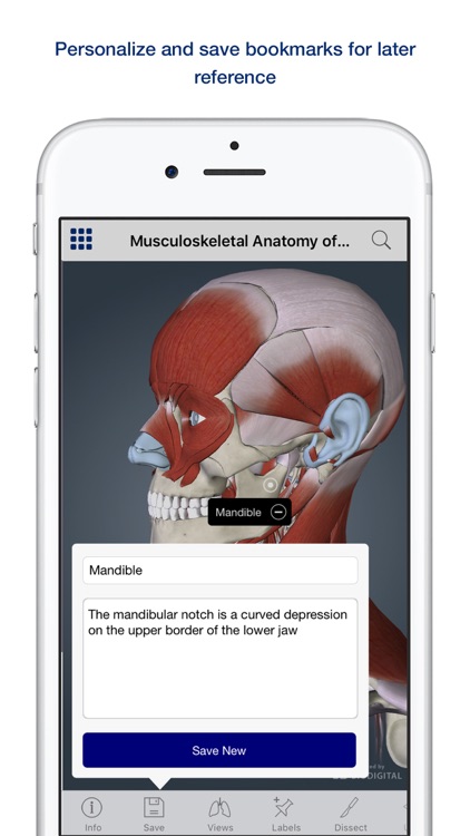 3D Muscle Anatomy screenshot-3