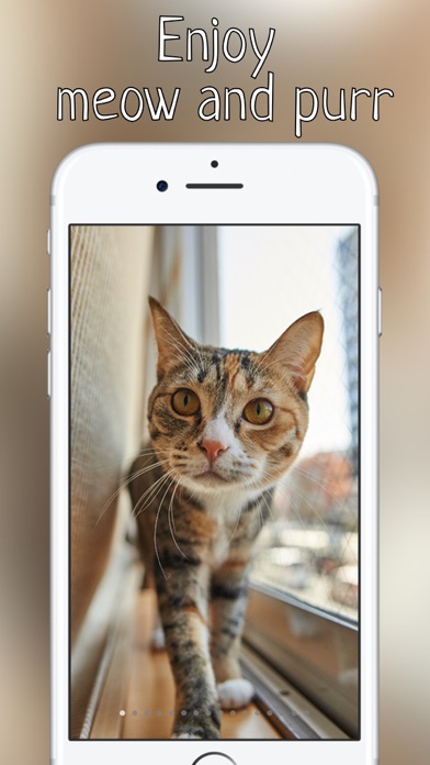 How to cancel & delete Purr Meow - Сat meow sounds free app from iphone & ipad 1