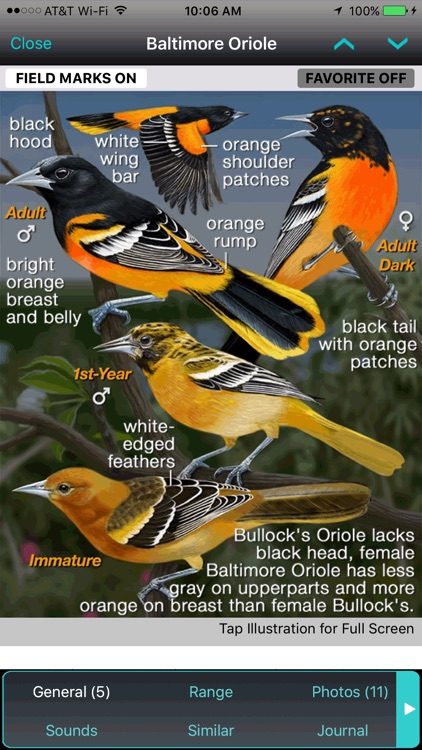 iBird Pro Guide to Birds
