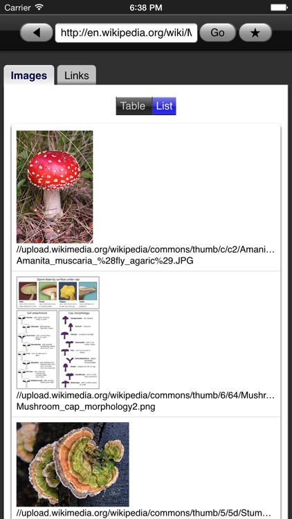 Web Images