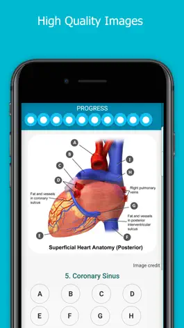 Game screenshot Visual Anatomy Quiz apk