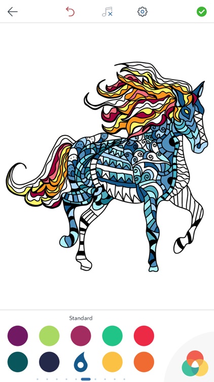 Horse Coloring Book for Adults