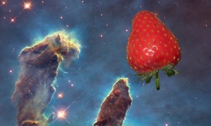 SCALED - the Universe in your pocket