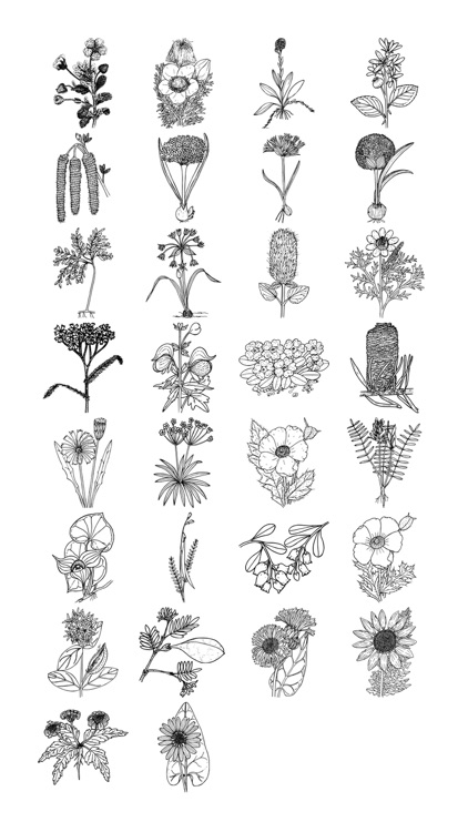 Flower Black and White Sticker Pack