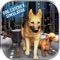 Dog Catcher Simulator 3d