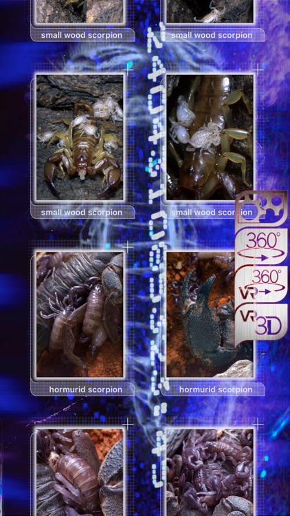 VR scorpions