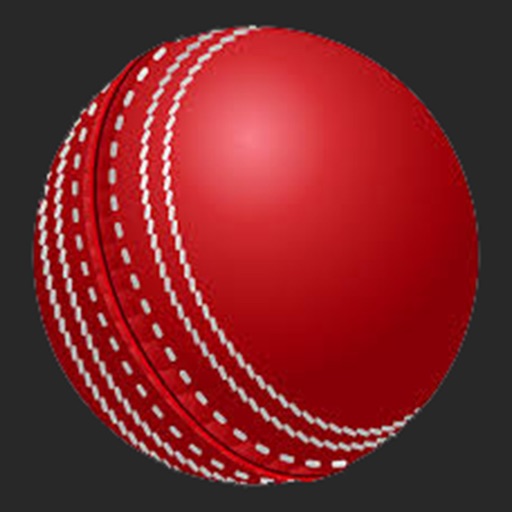 Roll The Cricket Ball - The Ultimate Destination Icon