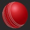 Roll The Cricket Ball - The Ultimate Destination