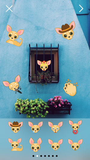 Fawn Chihuahua Photo Booth(圖3)-速報App
