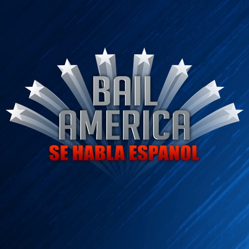 Bail America Liberty Icon
