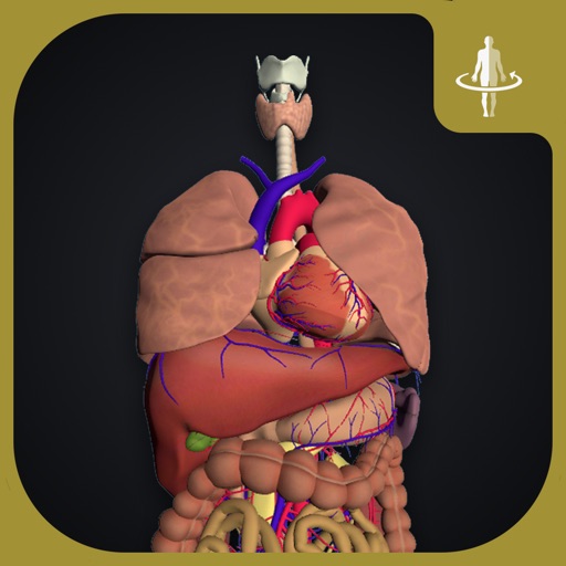 teamLabBody-Internal Organs- Icon