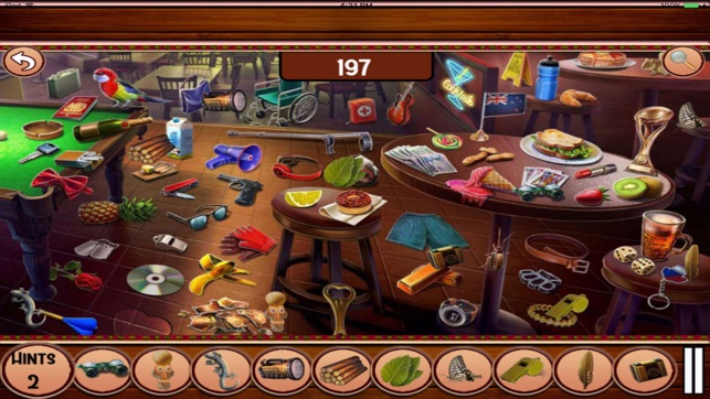 Hidden Objects:House Renovation