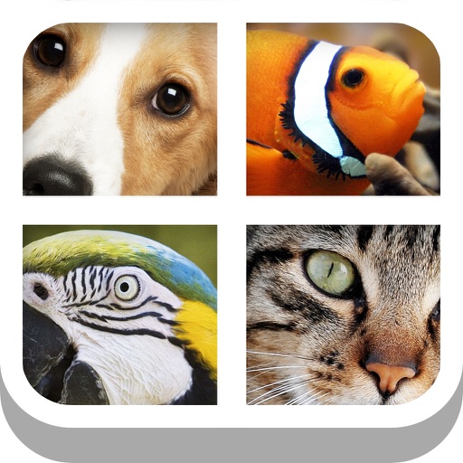 Close Up Animal Quiz - Cat & Dog Trivia Games Free | Apps | 148Apps