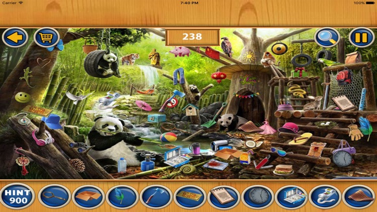 Free Hidden Objects : Leap Day