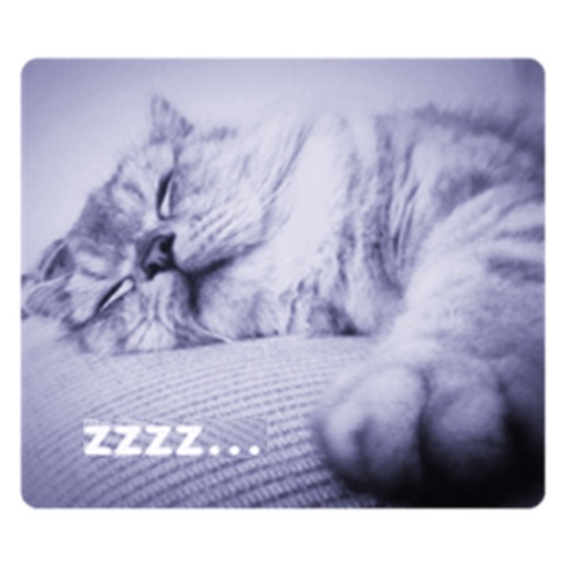 Many Cute Cat Photo Sticker icon