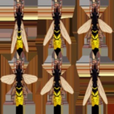 Activities of Squish and Letters