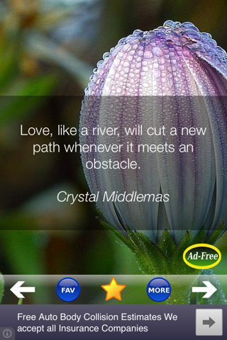 Daily Love Quotes and Best Romantic Sayings - náhled