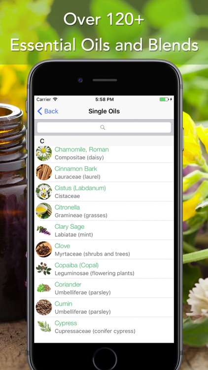 Essential Oils Reference Guide for Young Living