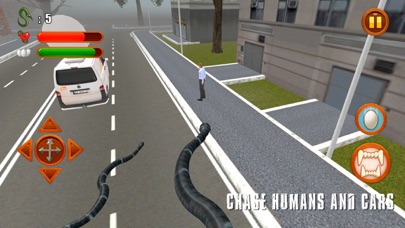 Angry Anaconda Animals Hunting Simulator 3D Full Screenshot 2