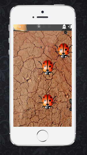 Smasher insects HD(圖3)-速報App