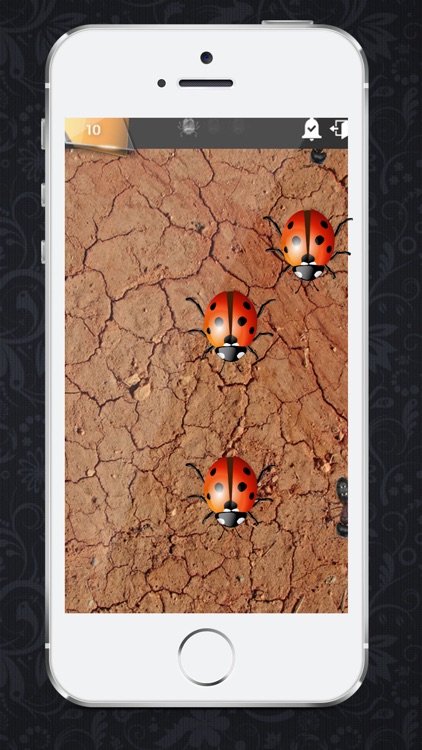 Smasher insects HD