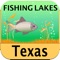 Best lakes for fishing in the State