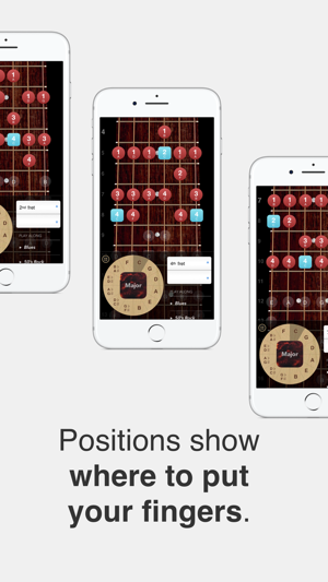 ScaleBank: Guitar Scales(圖4)-速報App