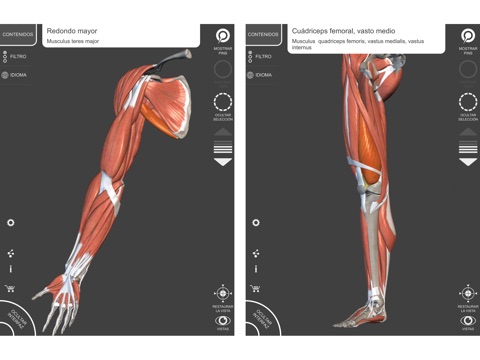 Anatomy 3D Atlas screenshot 4