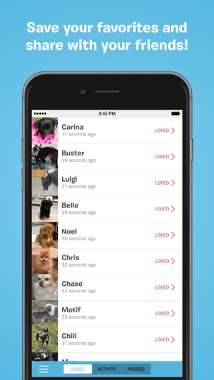 BarkBuddy(圖3)-速報App